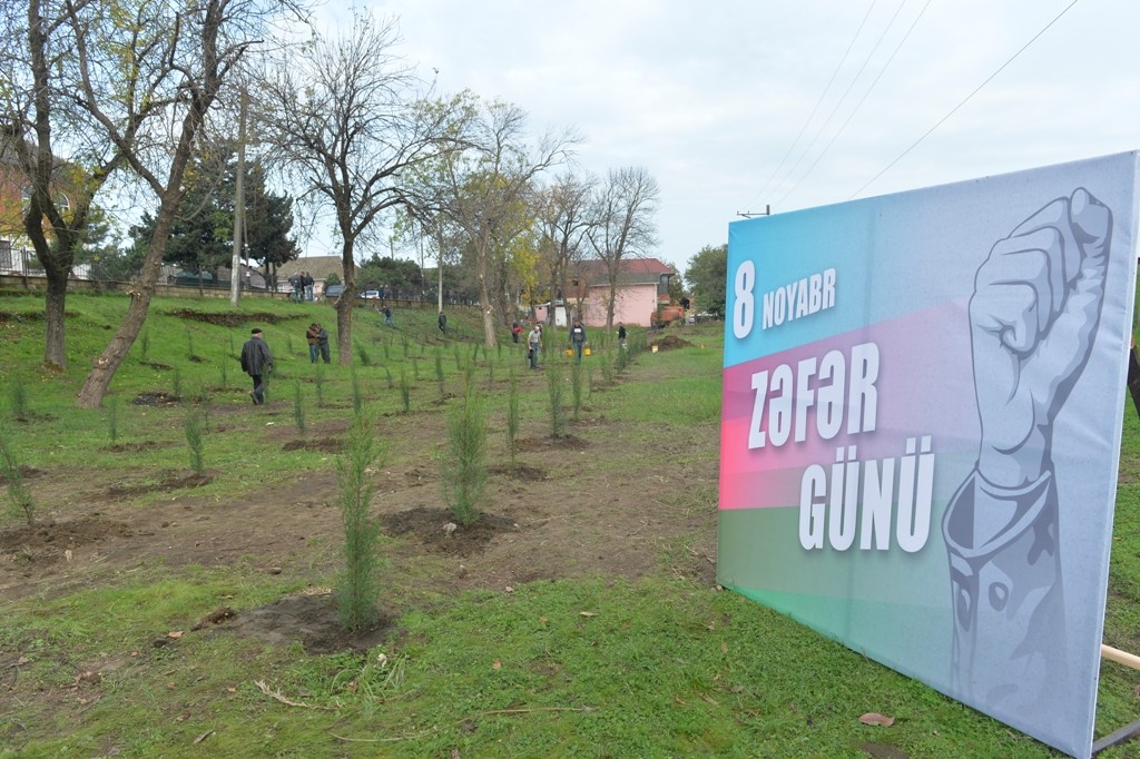Lənkəranda Zəfər Günü ilə əlaqədar ağacəkmə aksiyası keçirilib - FOTOLAR
