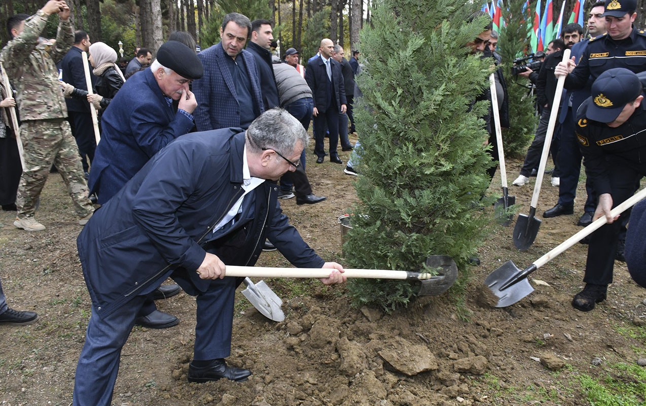Abşeronda Zəfər Günü ilə bağlı ağacəkmə aksiyası keçirildi - FOTOLAR