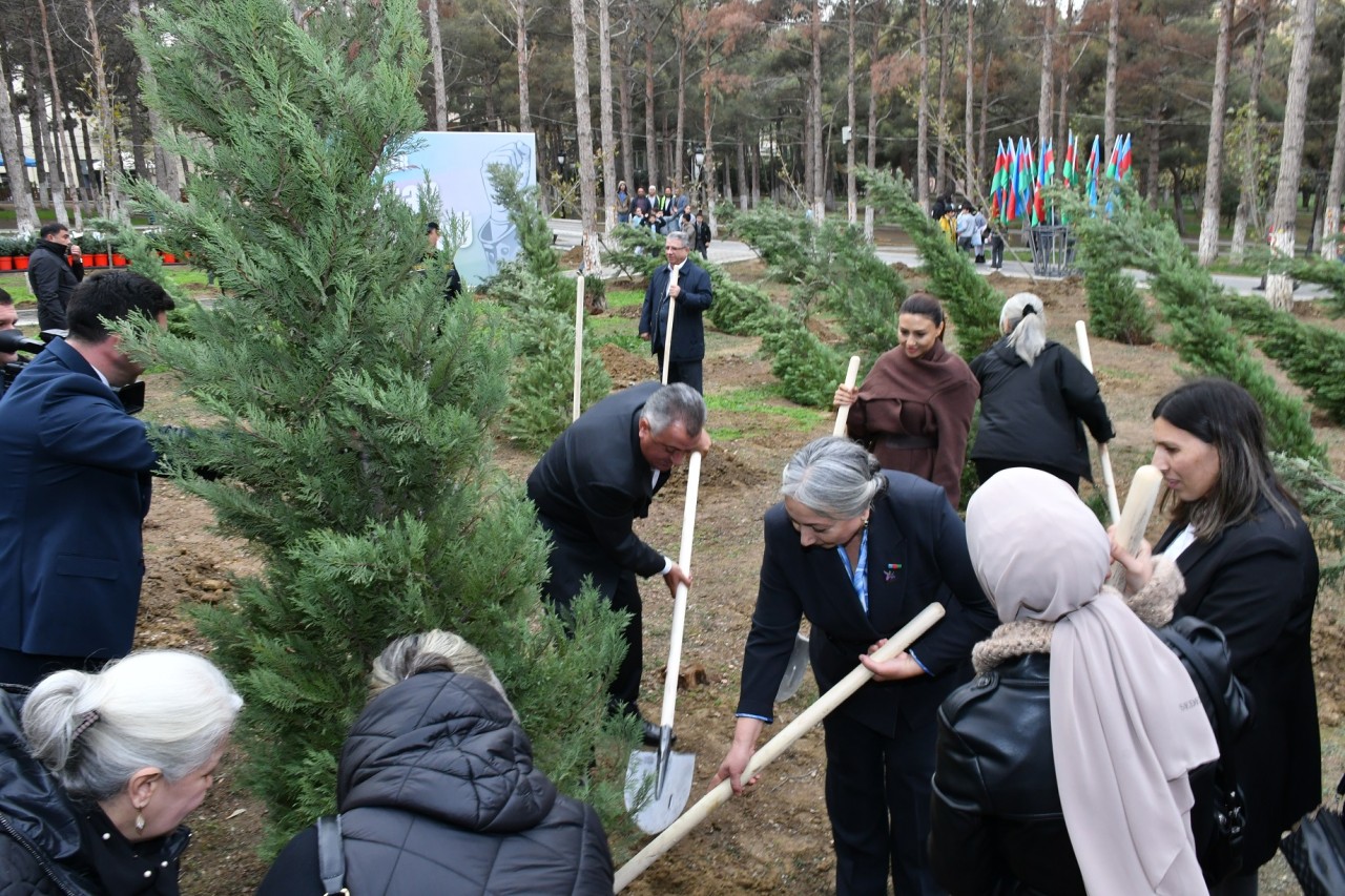 Abşeronda Zəfər Günü ilə bağlı ağacəkmə aksiyası keçirildi - FOTOLAR