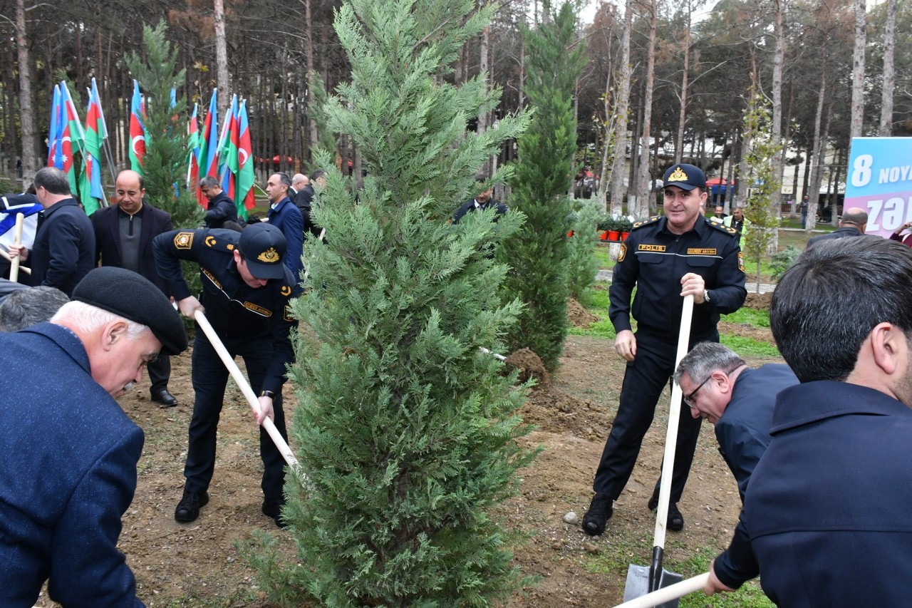 Abşeronda Zəfər Günü ilə bağlı ağacəkmə aksiyası keçirildi - FOTOLAR
