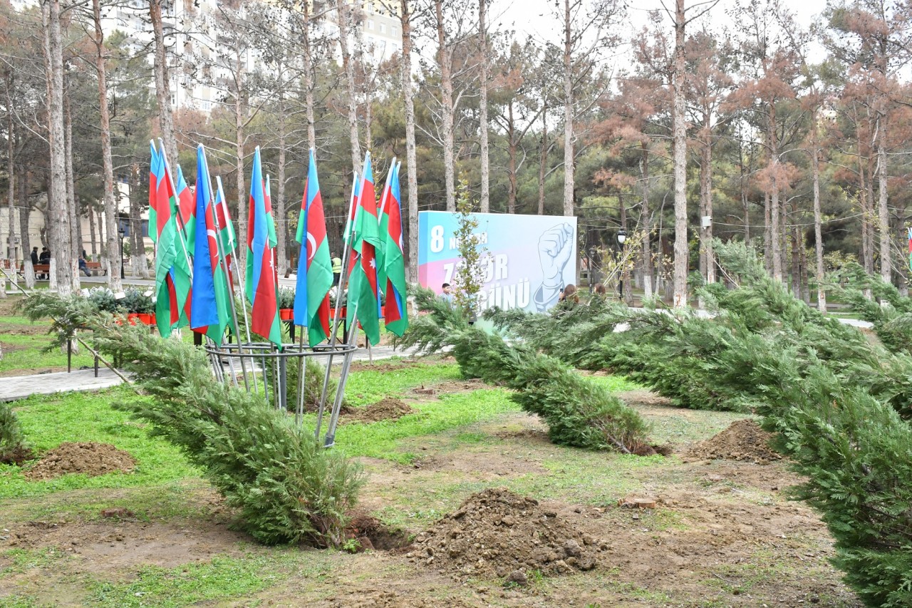 Abşeronda Zəfər Günü ilə bağlı ağacəkmə aksiyası keçirildi - FOTOLAR