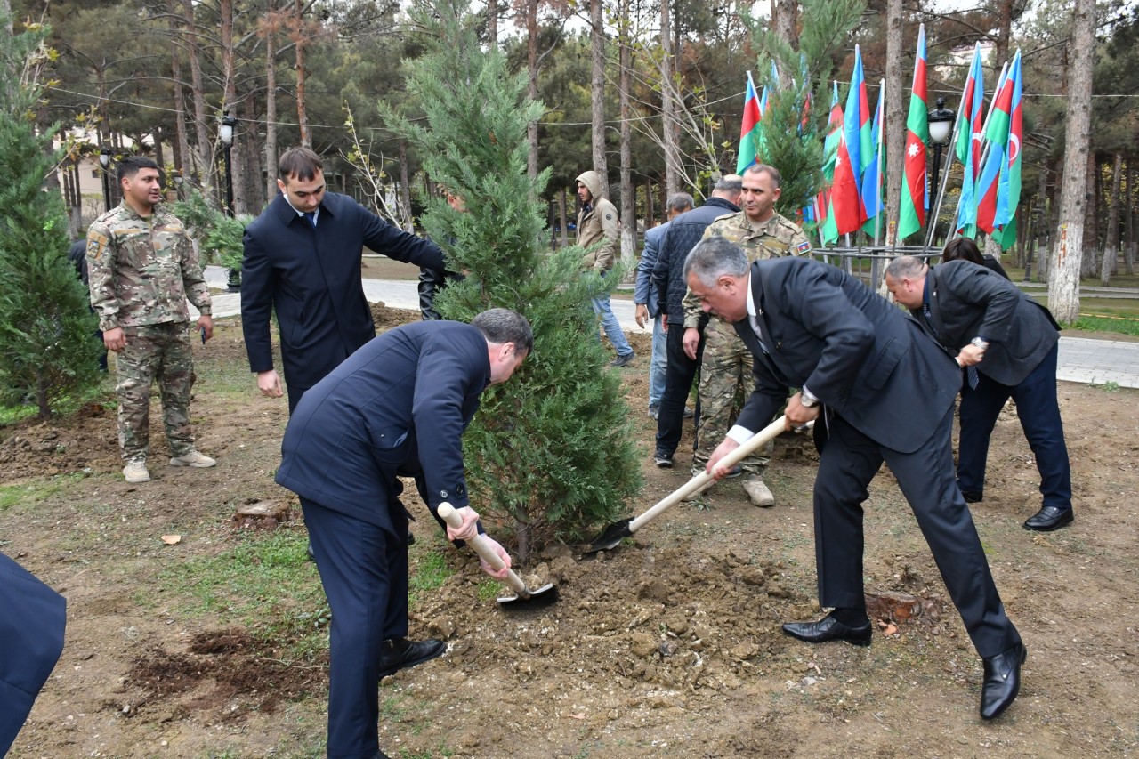 Abşeronda Zəfər Günü ilə bağlı ağacəkmə aksiyası keçirildi - FOTOLAR