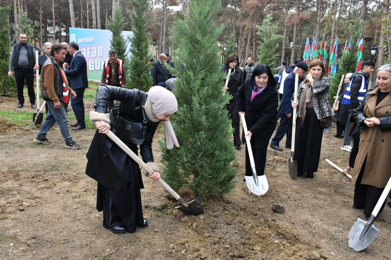 Abşeronda Zəfər Günü ilə bağlı ağacəkmə aksiyası keçirildi - FOTOLAR