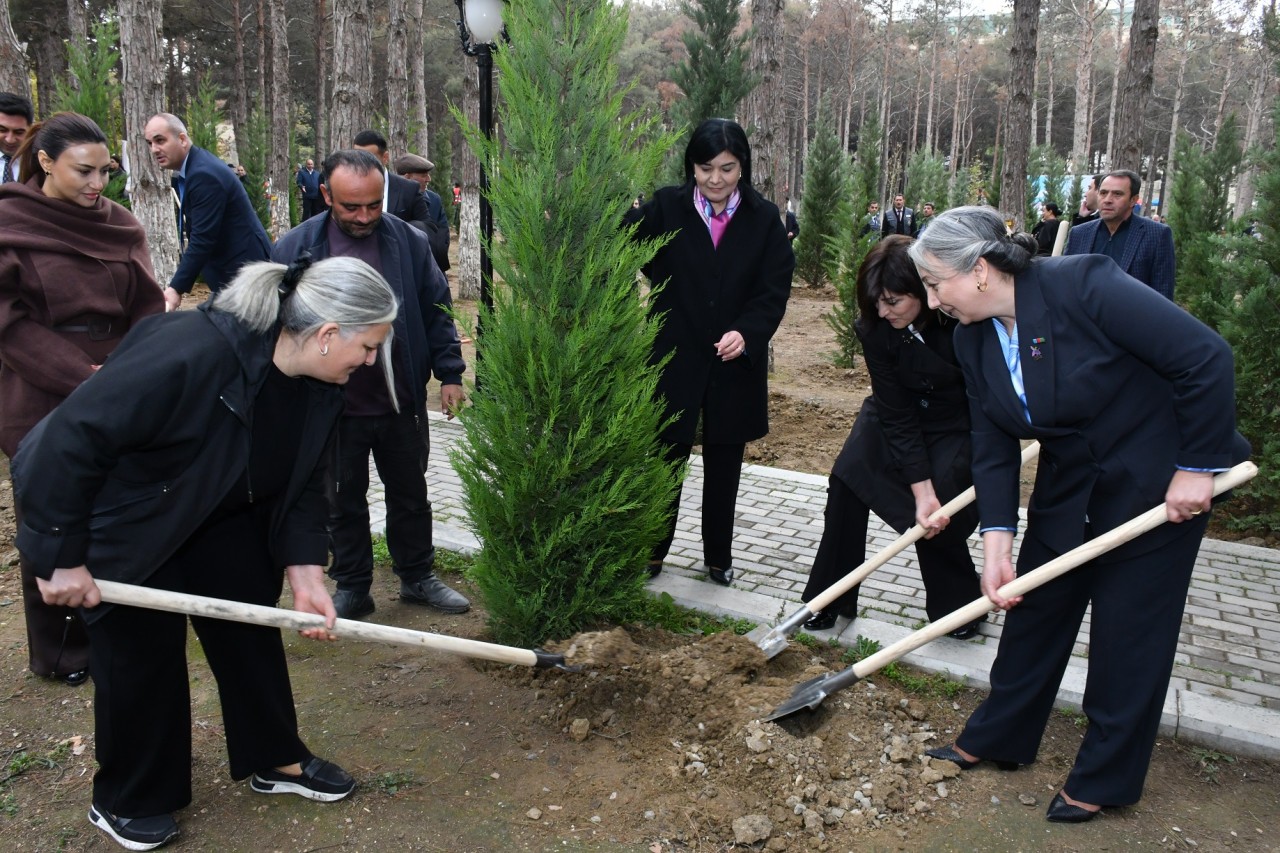 Abşeronda Zəfər Günü ilə bağlı ağacəkmə aksiyası keçirildi - FOTOLAR