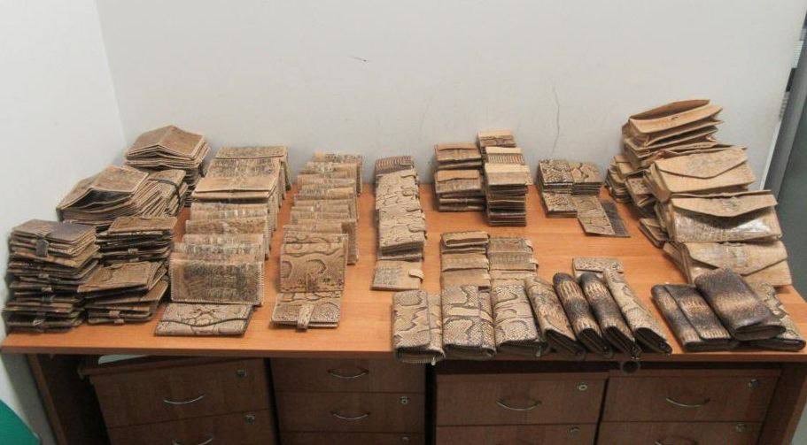 İş adamı timsah və ilan dərisindən hazırlanmış qaçaqmalla saxlanıldı - FOTOLAR