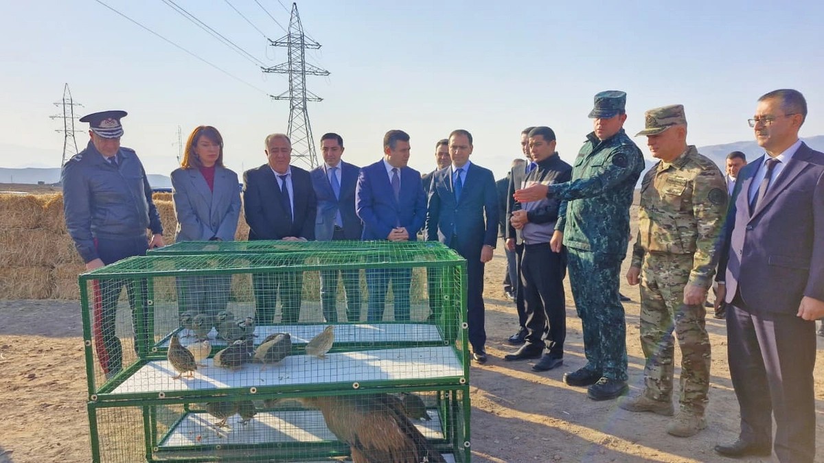 Culfada təbiətə nadir heyvanlar buraxıldı - FOTOLAR