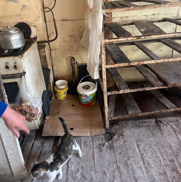 Yasamalda çörək emalı müəssisəsində nöqsanlar aşkarlandı - FOTOLAR