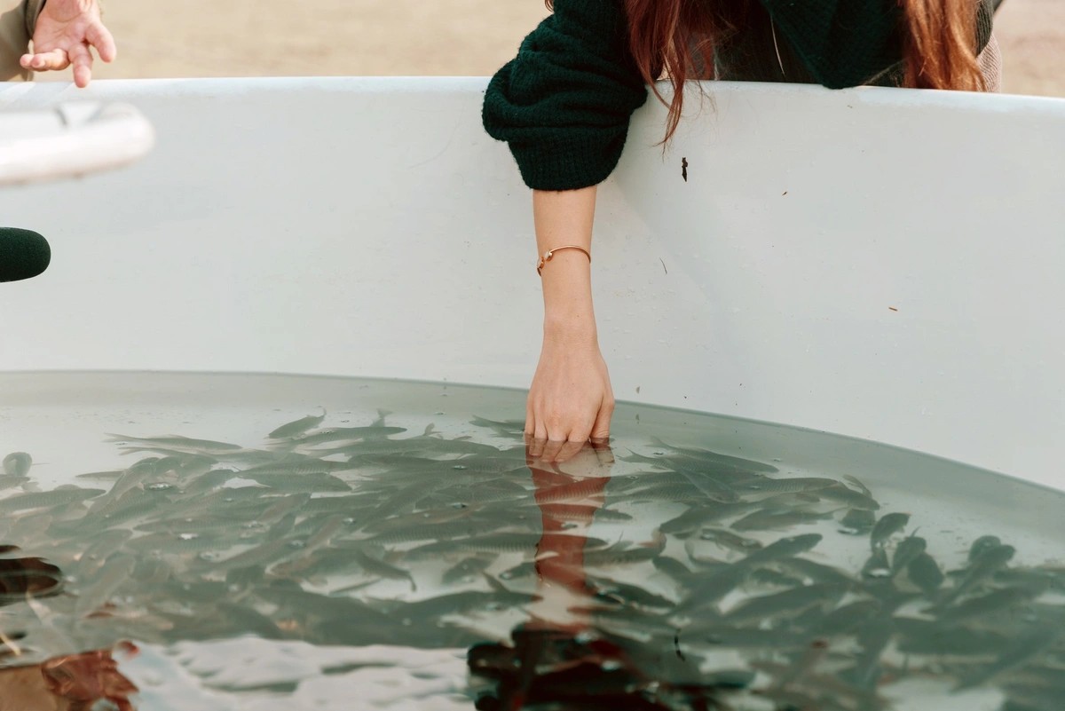 Leyla Əliyeva Mingəçevirdə ekoloji aksiyalarda - FOTOLAR