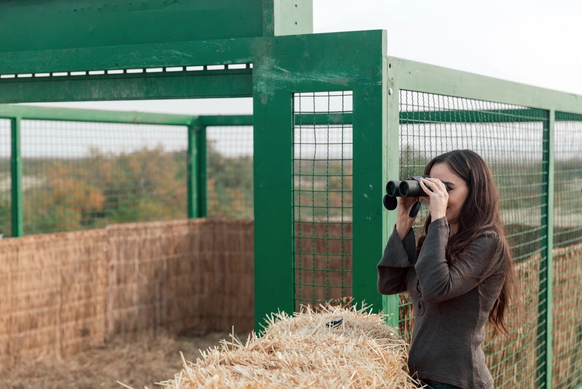Leyla Əliyeva Mingəçevirdə ekoloji aksiyalarda - FOTOLAR