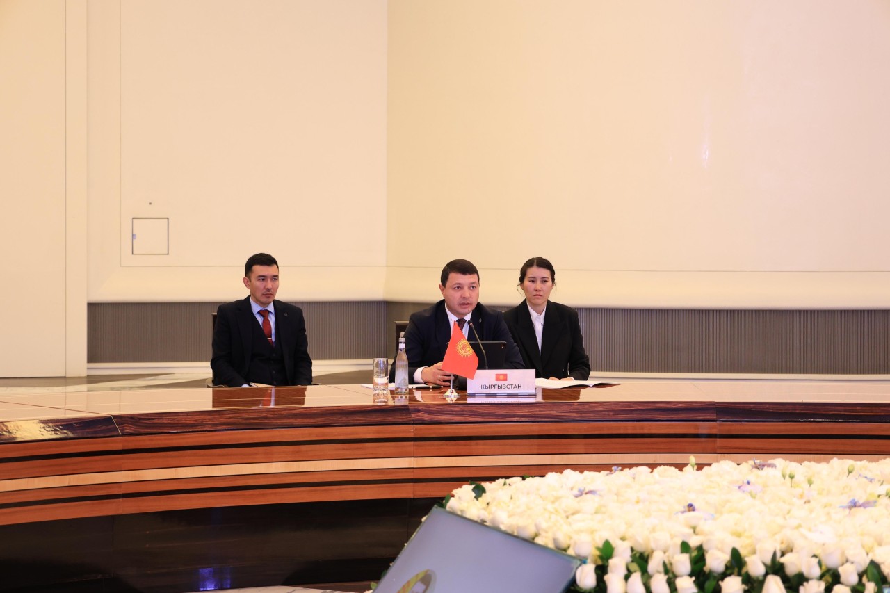 Adil Kərimli Daşkənddə Nazirlər Konfransında çıxış edib - FOTOLAR