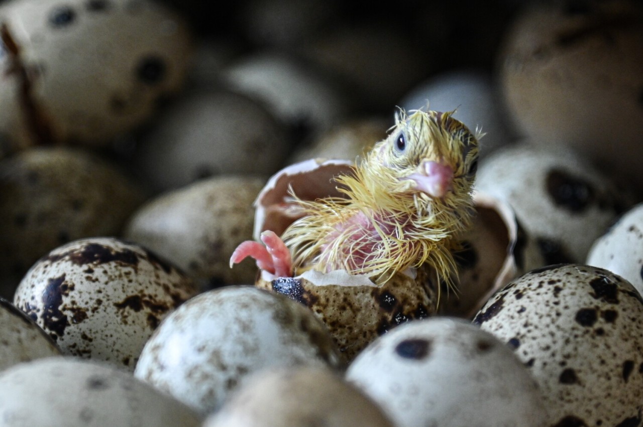 Dünyanın dörd bir yanından FOTOLAR