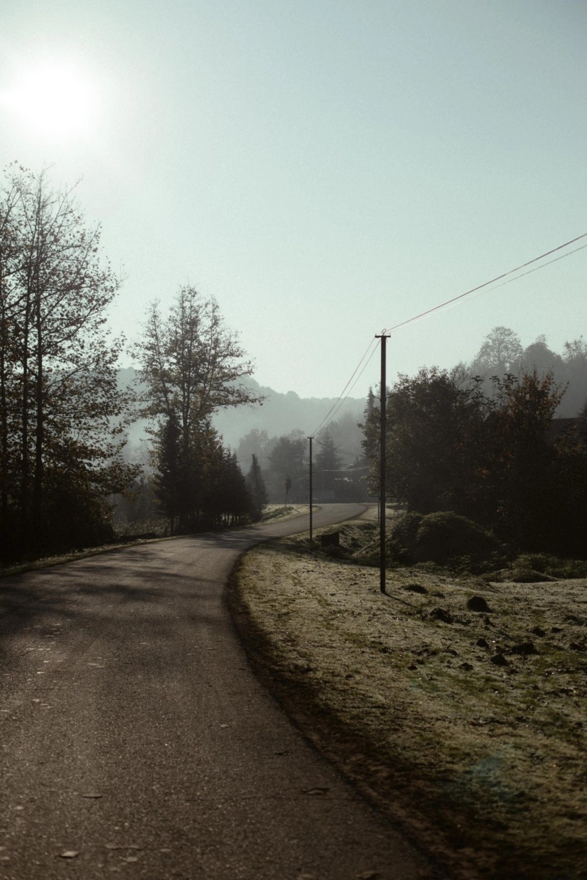 Leyla, Arzu və Alena Əliyevalar ekoloji aksiyalarda - FOTOLAR