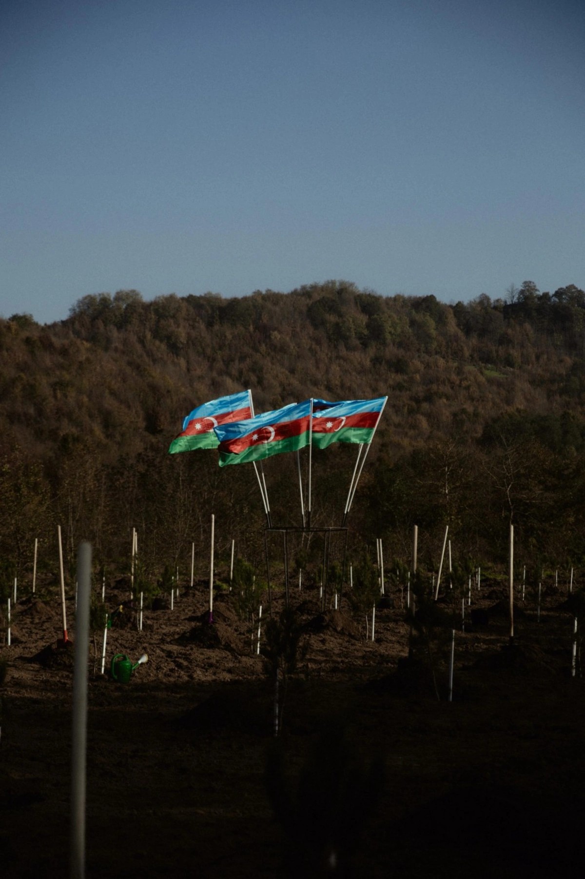 Leyla, Arzu və Alena Əliyevalar ekoloji aksiyalarda - FOTOLAR