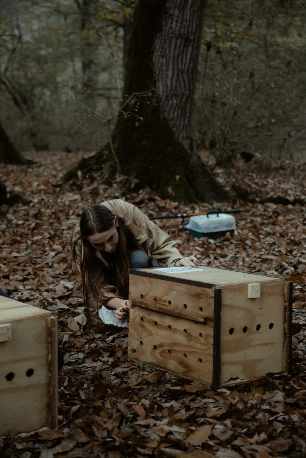 Leyla, Arzu və Alena Əliyevalar ekoloji aksiyalarda - FOTOLAR