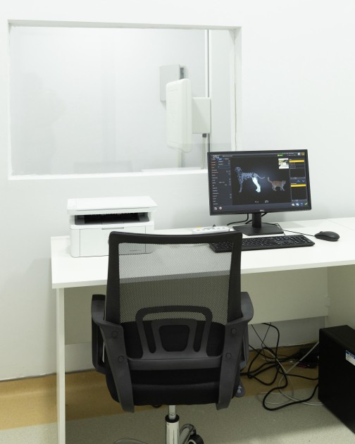 Leyla və Alena Əliyevalar Lənkəranda yaradılmış Baytarlıq Klinikası ilə tanış oldular - FOTOLAR