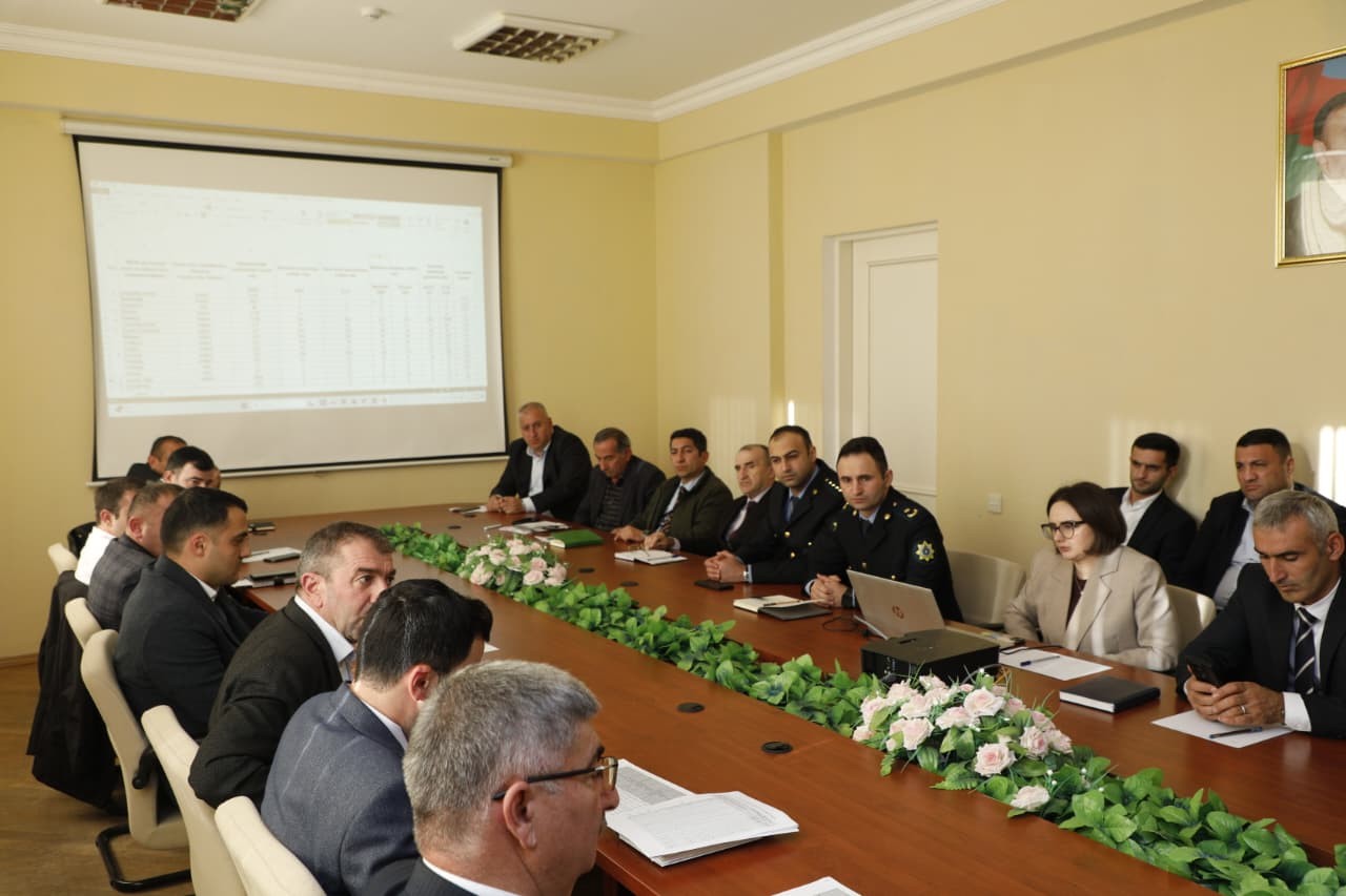 Qəhvəyi mərmər bağacığı ilə bağlı növbəti iclas keçirildi - FOTOLAR