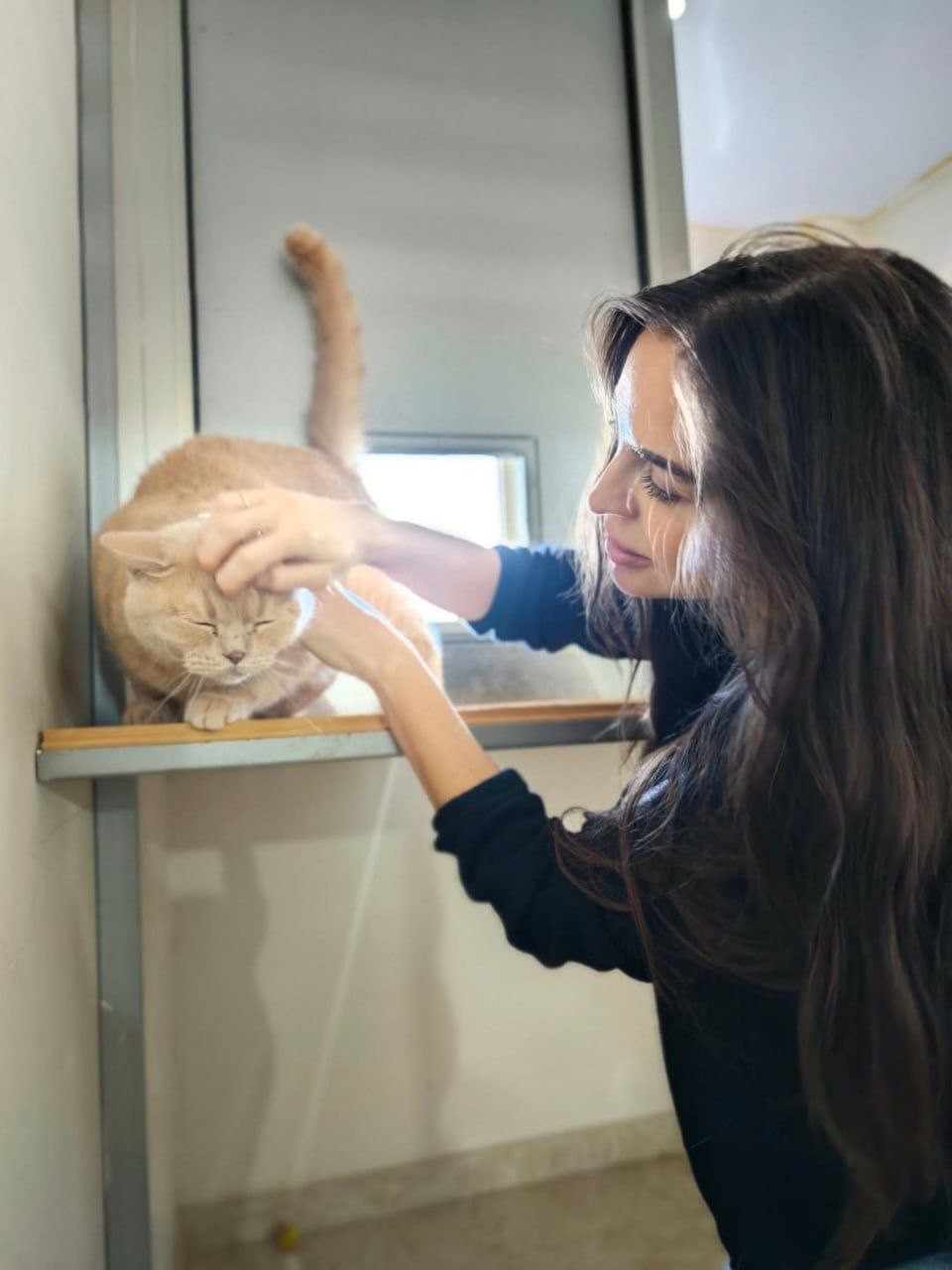 Leyla Əliyeva Heyvanlara Qayğı Mərkəzində - FOTOLAR