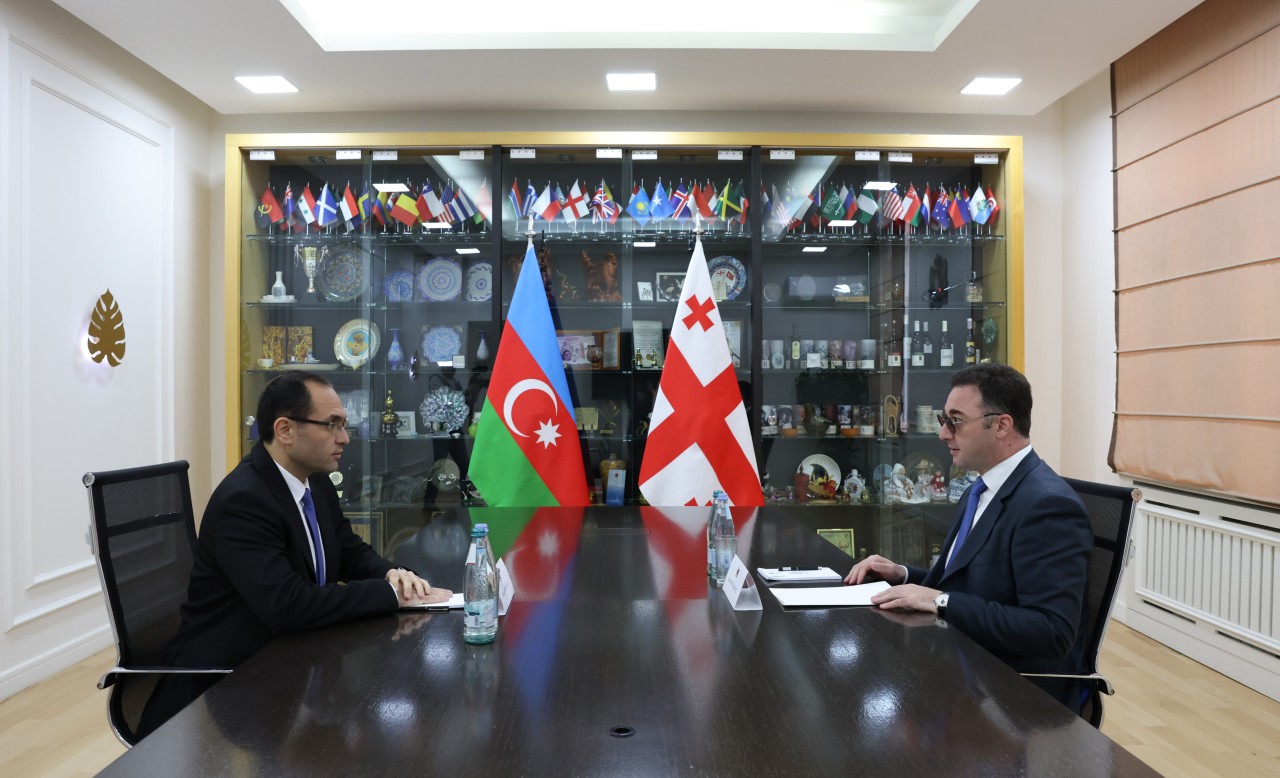 Məcnun Məmmədov gürcü həmkarı ilə görüşdü - FOTOLAR