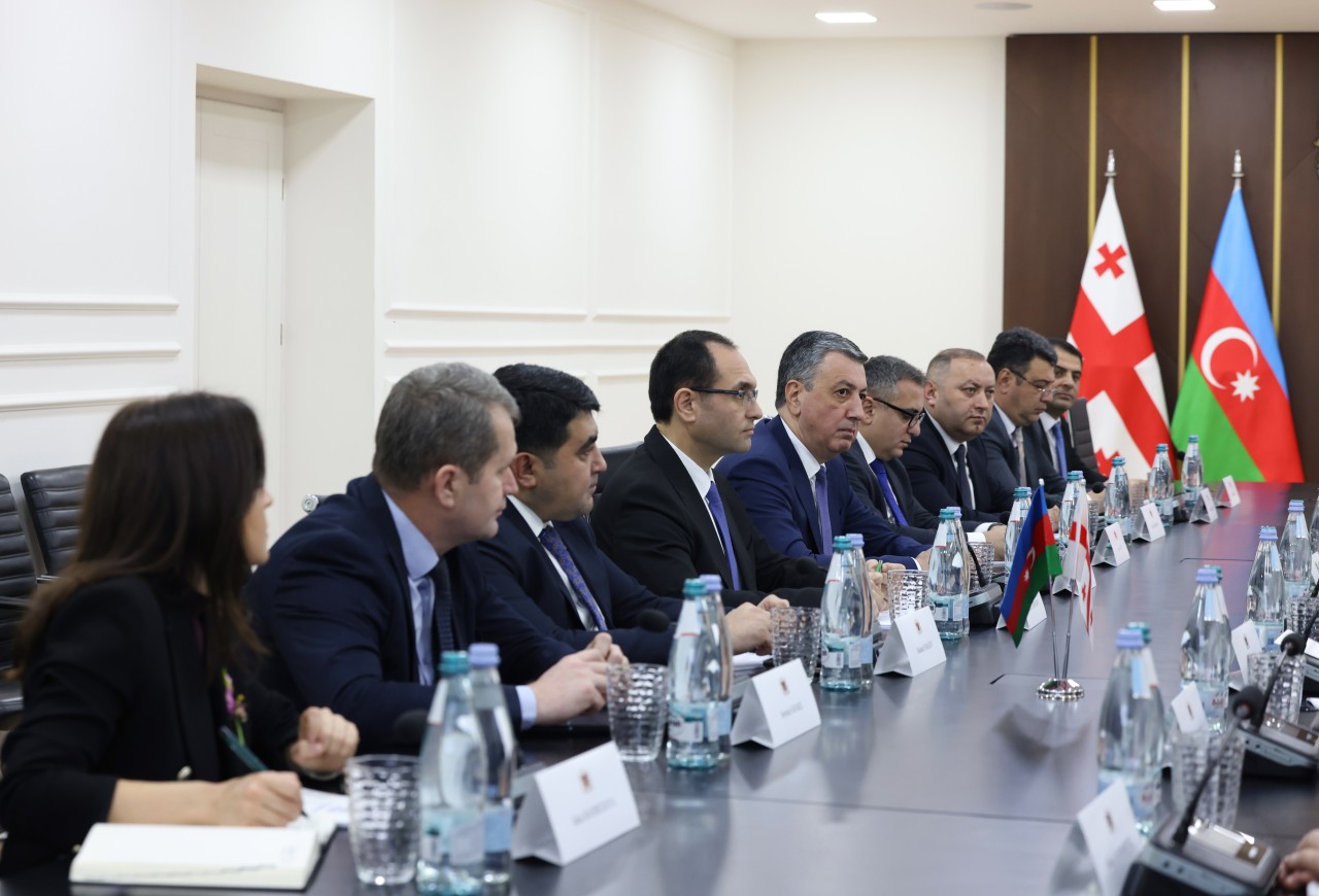 Məcnun Məmmədov gürcü həmkarı ilə görüşdü - FOTOLAR