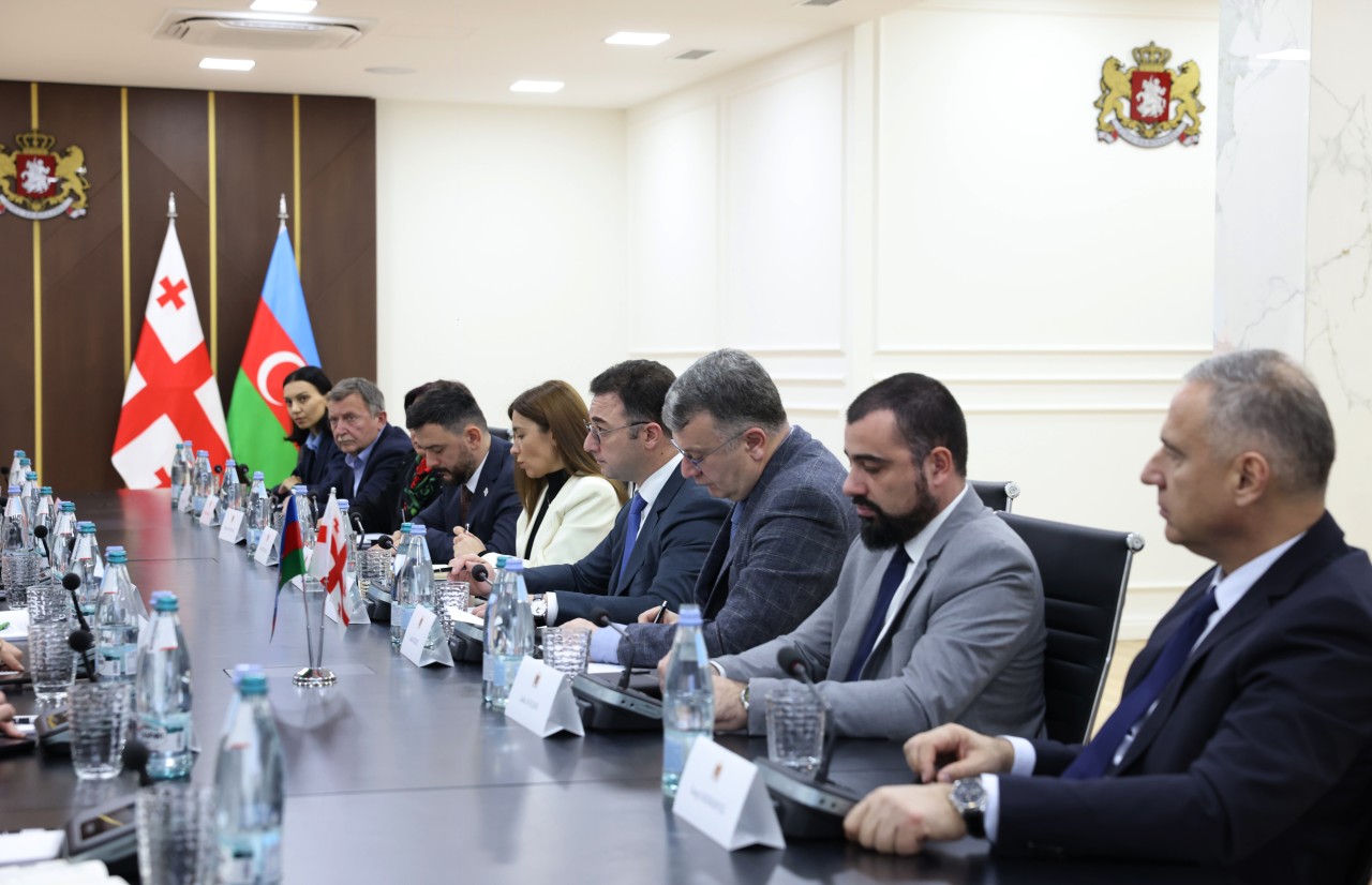 Məcnun Məmmədov gürcü həmkarı ilə görüşdü - FOTOLAR