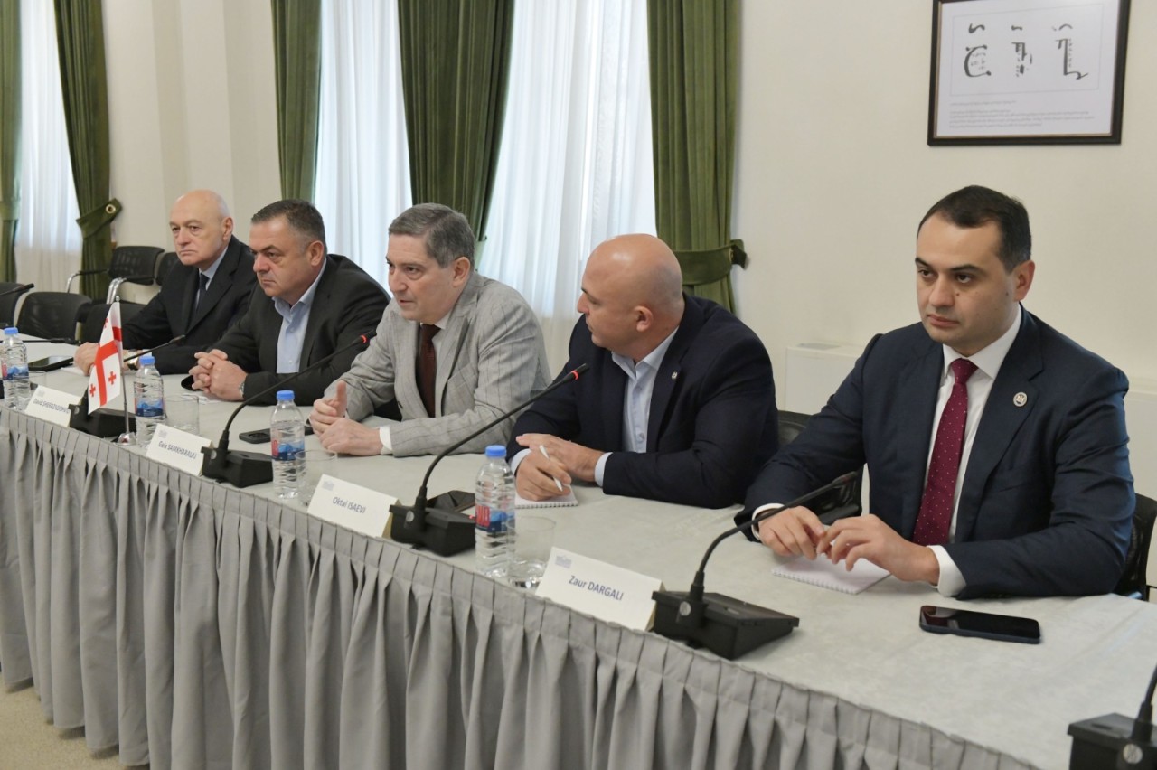 Nazir Məcnun Məmmədov Gürcüstanda görüşlər keçirdi - FOTOLAR