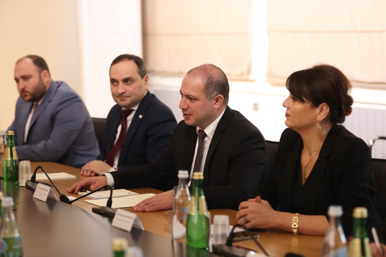 Nazir Məcnun Məmmədov Gürcüstanda görüşlər keçirdi - FOTOLAR