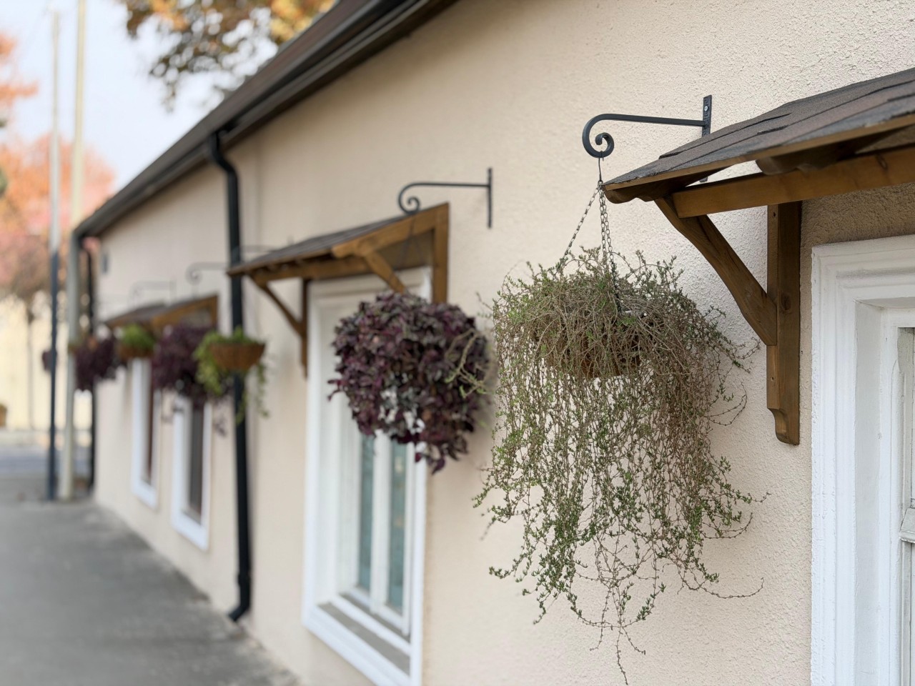 Gəncədə qış mövsümününə hazırlıq işləri görülür - FOTOLAR