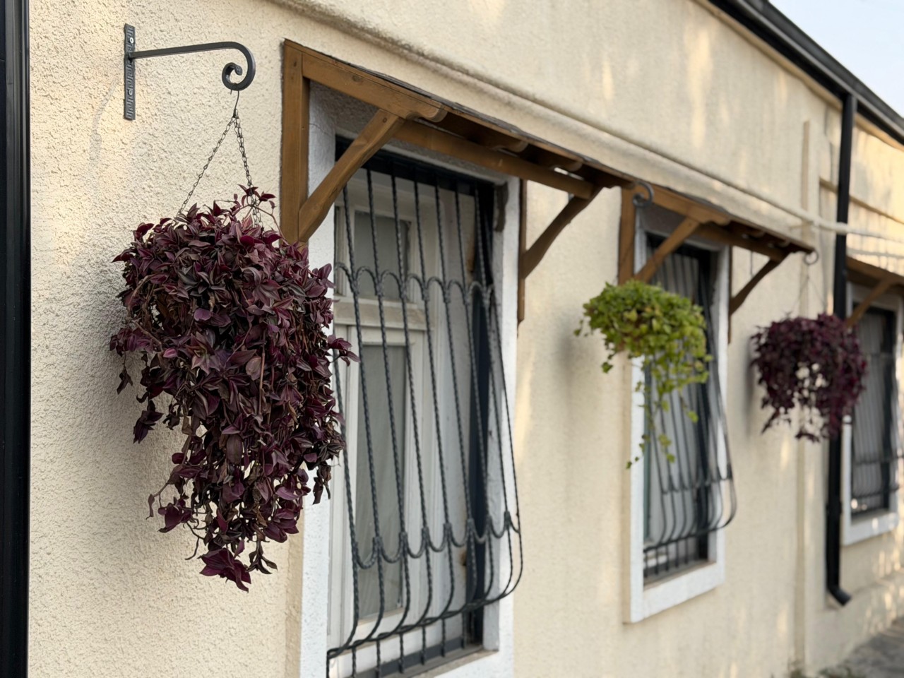 Gəncədə qış mövsümününə hazırlıq işləri görülür - FOTOLAR