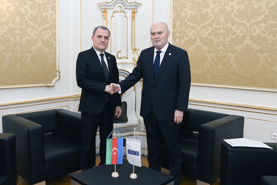 Vyanada sülh prosesi müzakirə edildi - FOTOLAR