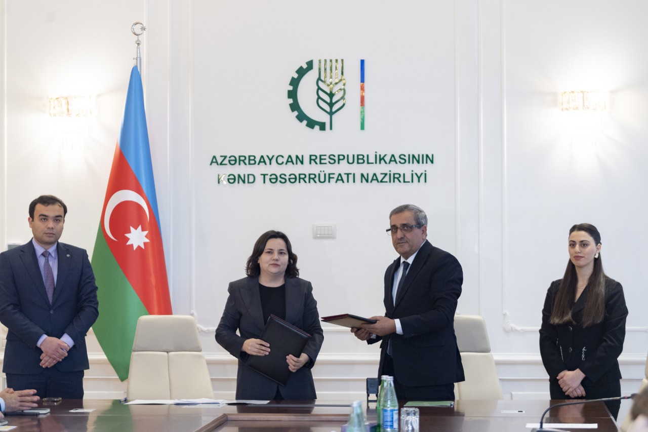 Bu torpaqların icarə müqavilələrinin imzalanmasına başlanıb - FOTOLAR