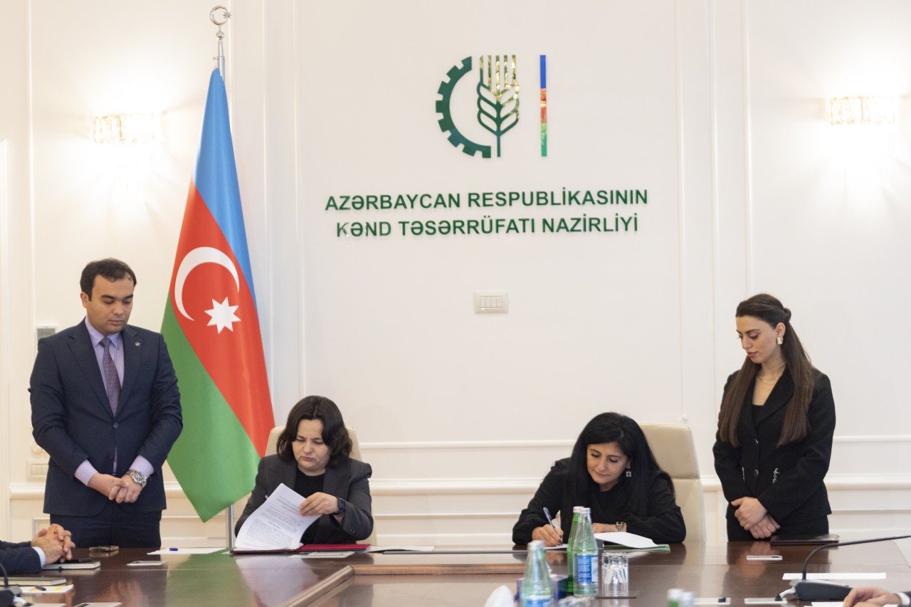 Bu torpaqların icarə müqavilələrinin imzalanmasına başlanıb - FOTOLAR