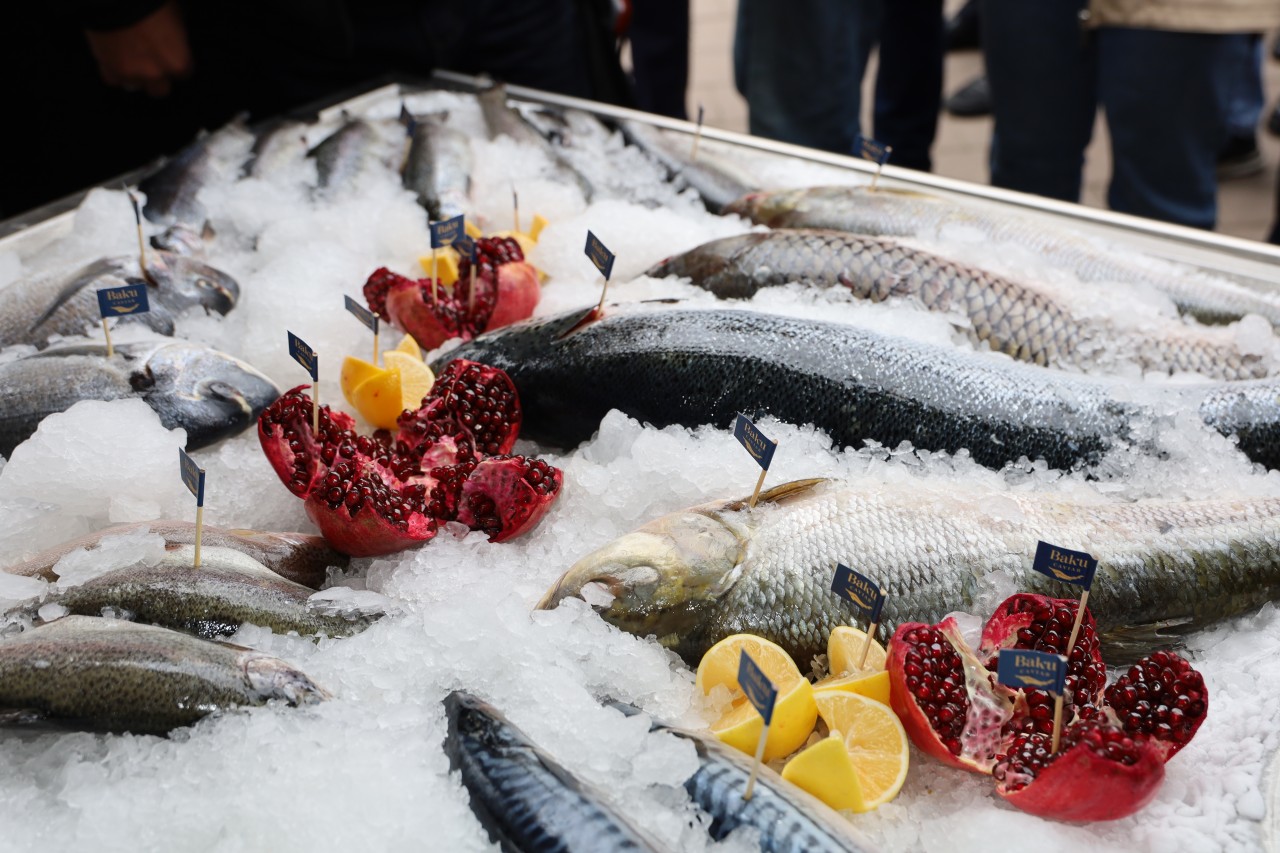 Neftçalada “I Balıq” Festivalı keçirilib - FOTOLAR