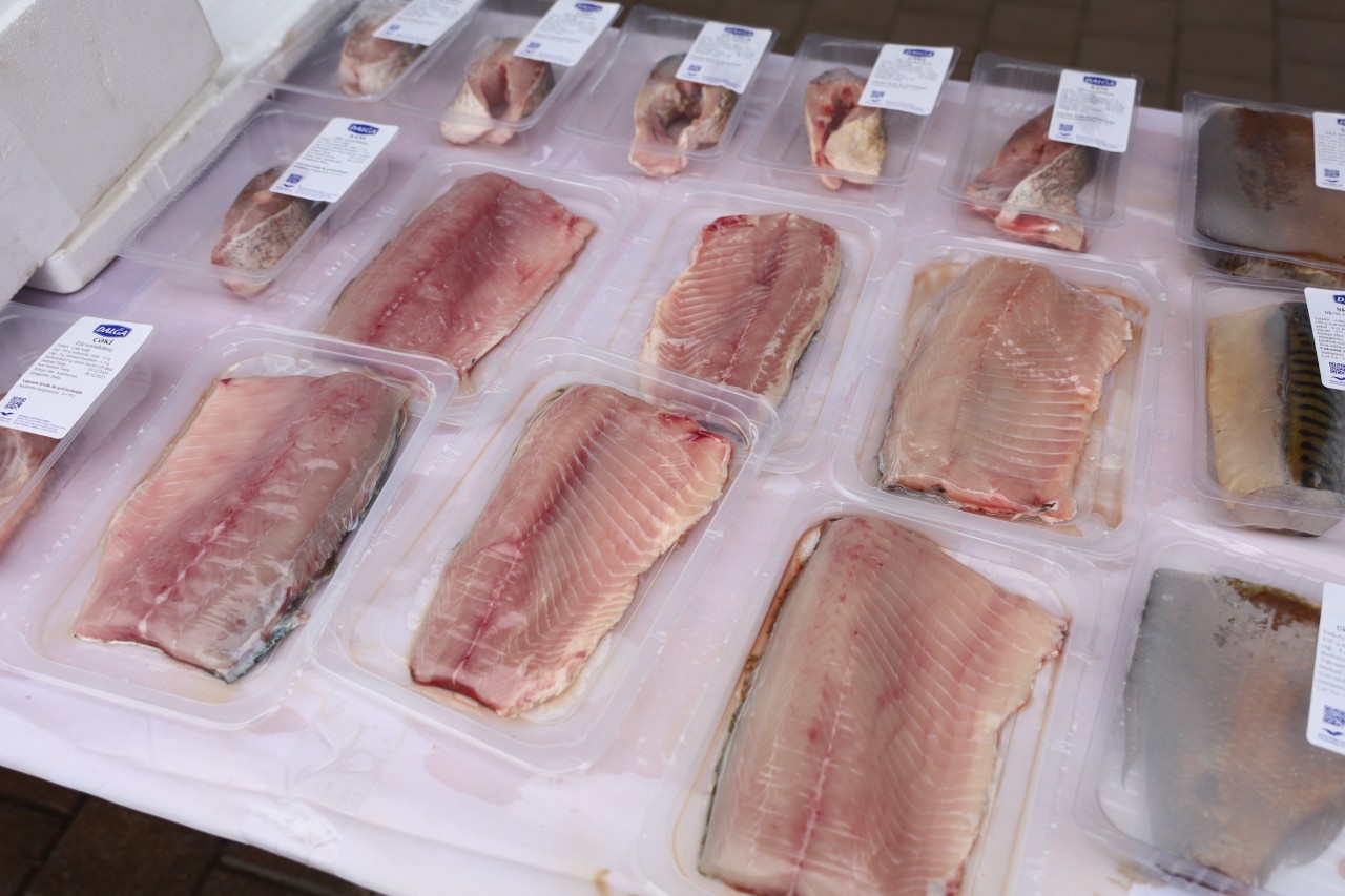 Neftçalada “I Balıq” Festivalı keçirilib - FOTOLAR