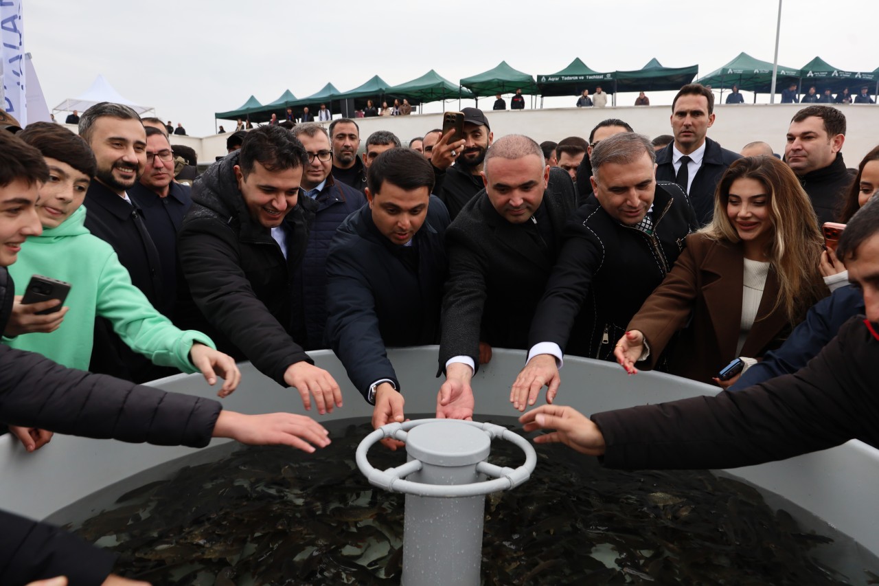 Neftçalada “I Balıq” Festivalı keçirilib - FOTOLAR