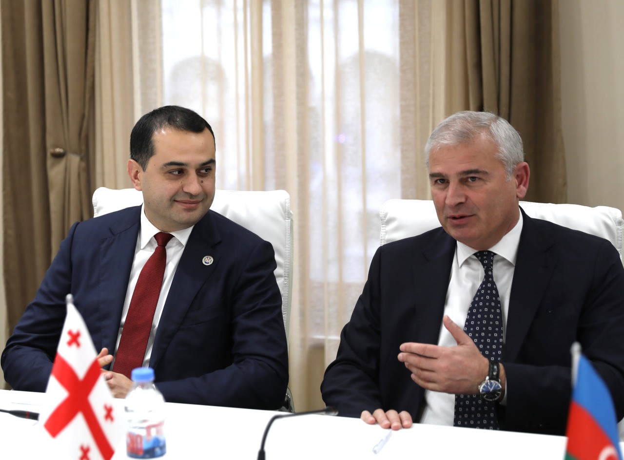 YAP Gənclər Birliyinin nümayəndə heyəti Gürcüstanda səfərdə oldu - FOTOLAR