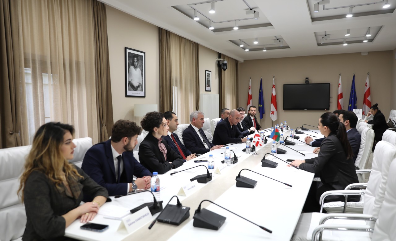 YAP Gənclər Birliyinin nümayəndə heyəti Gürcüstanda səfərdə oldu - FOTOLAR