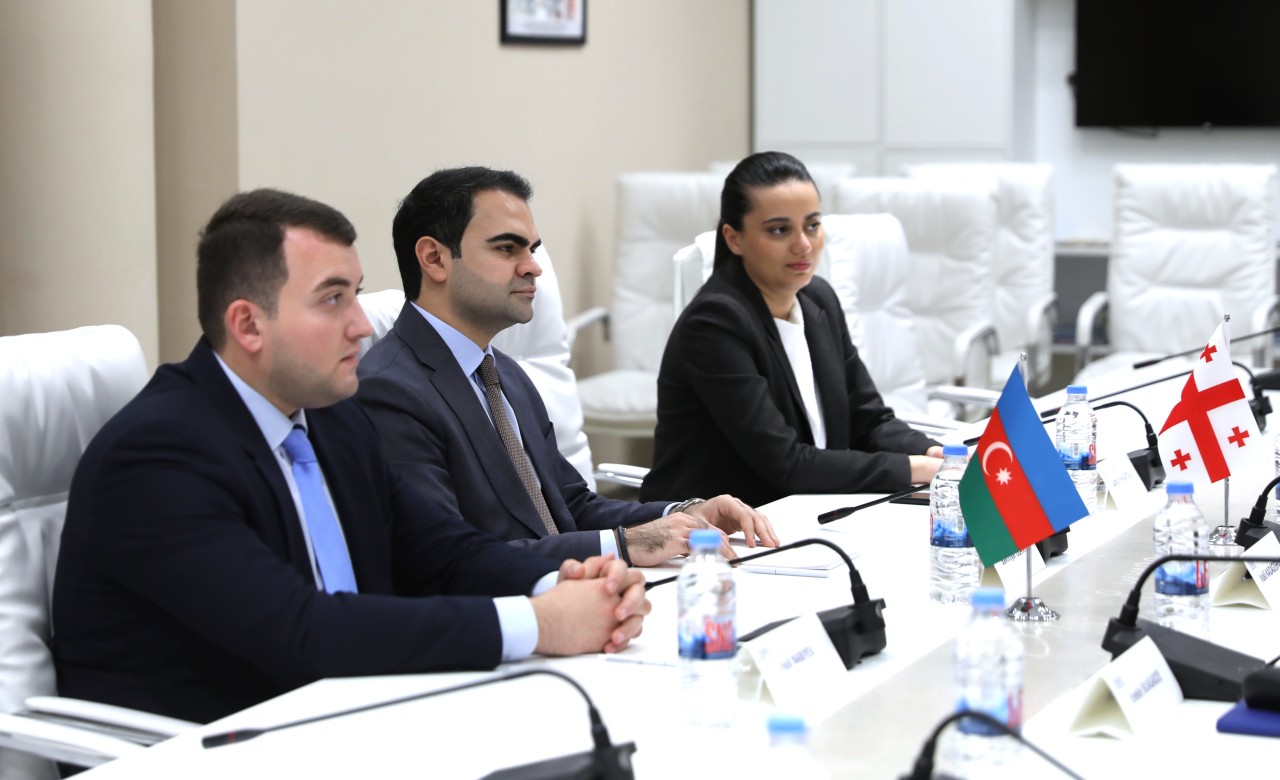 YAP Gənclər Birliyinin nümayəndə heyəti Gürcüstanda səfərdə oldu - FOTOLAR