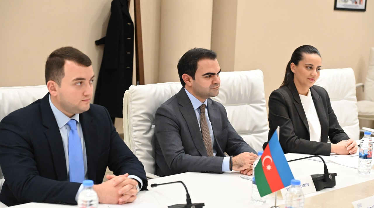 YAP Gənclər Birliyinin nümayəndə heyəti Gürcüstanda səfərdə oldu - FOTOLAR