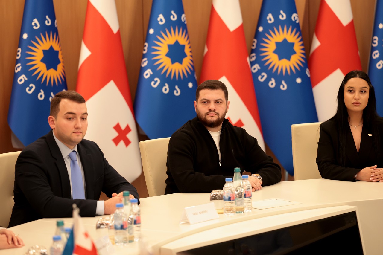 YAP Gənclər Birliyinin nümayəndə heyəti Gürcüstanda səfərdə oldu - FOTOLAR