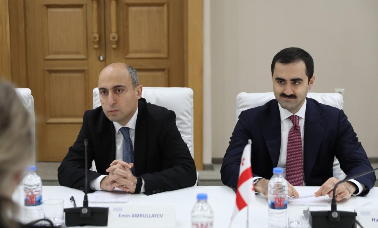 Emin Əmrullayev Gürcüstan Parlamentinin komitə sədri ilə görüşüb - FOTO