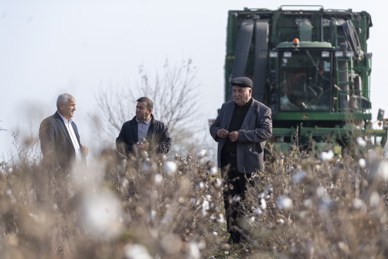 Pambıq yığımında rekord göstəricilər əldə olunur - FOTOLAR