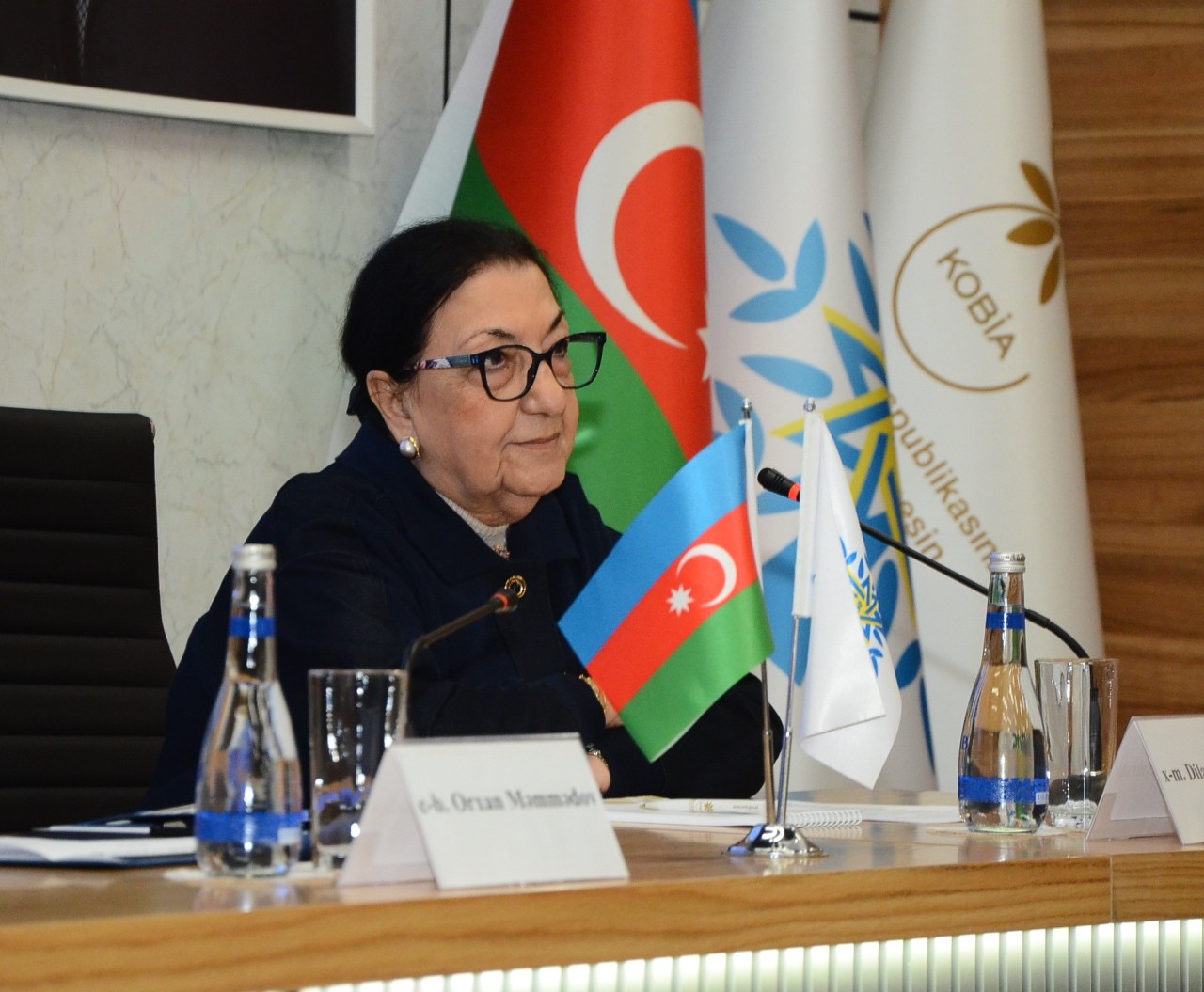 YAP “Heydər Əliyev zirvəsi” mövzusunda tədbir keçirdi - FOTOLAR