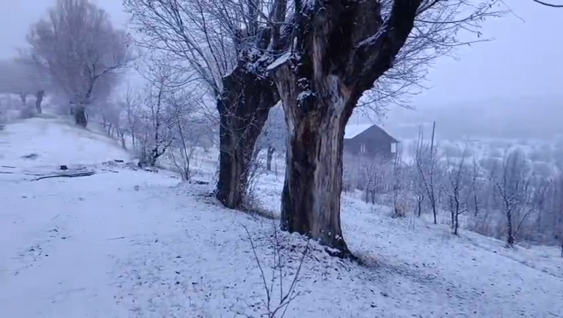 Naxçıvanın qarlı havasından FOTOLAR