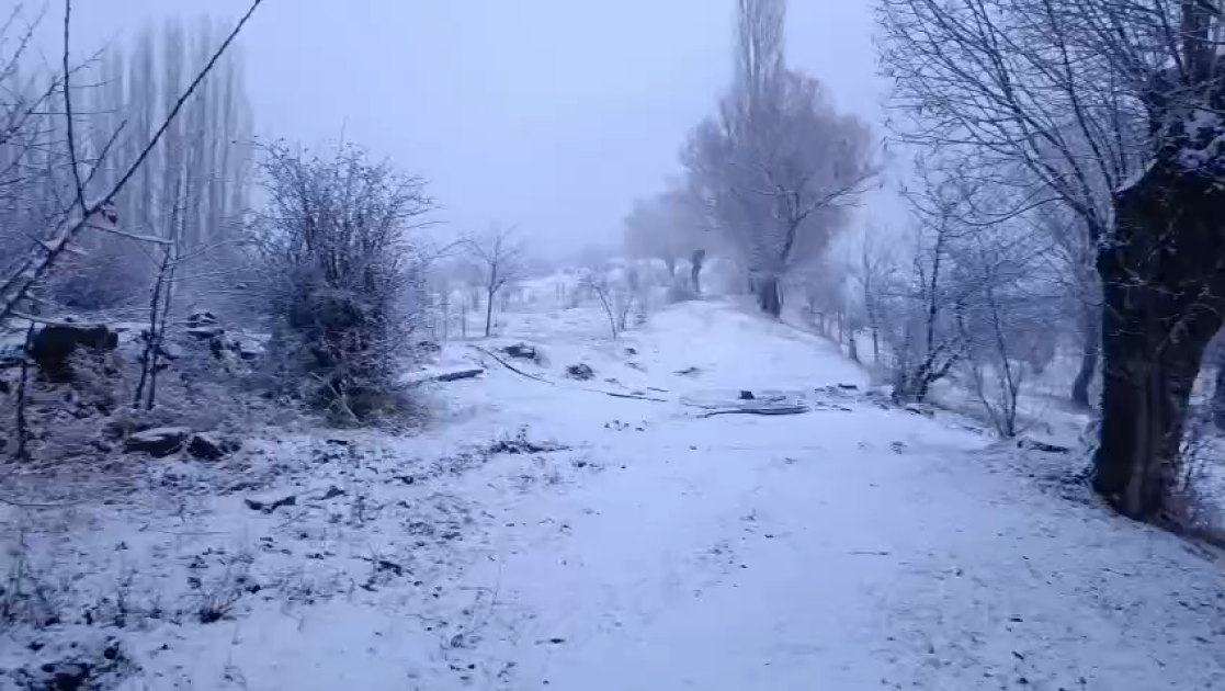 Naxçıvanın qarlı havasından FOTOLAR