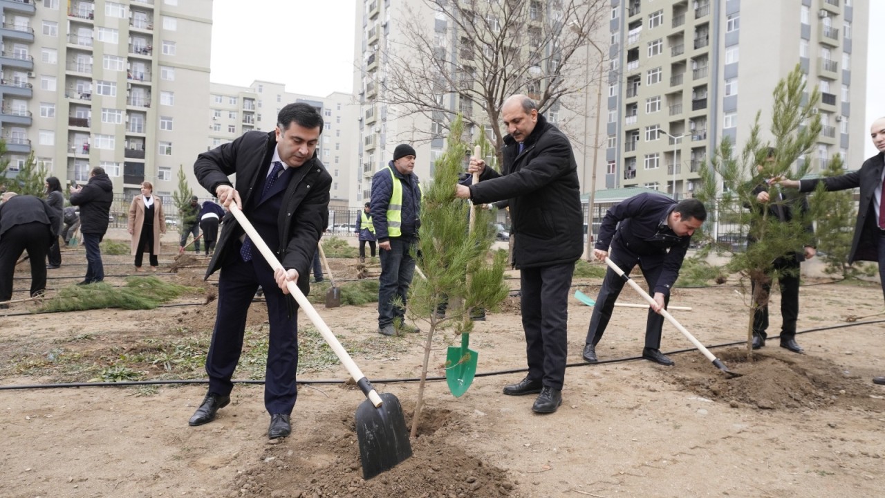 Gəncədə Ümummilli Liderin anım günü ilə əlaqədar ağacəkmə aksiyası keçirilib - FOTOLAR