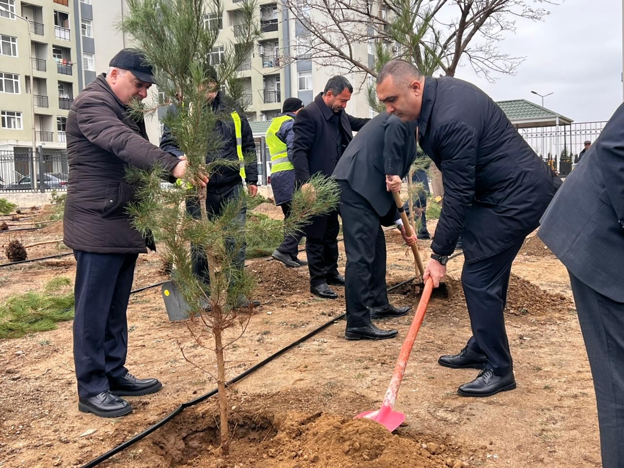 Gəncədə Ümummilli Liderin anım günü ilə əlaqədar ağacəkmə aksiyası keçirilib - FOTOLAR