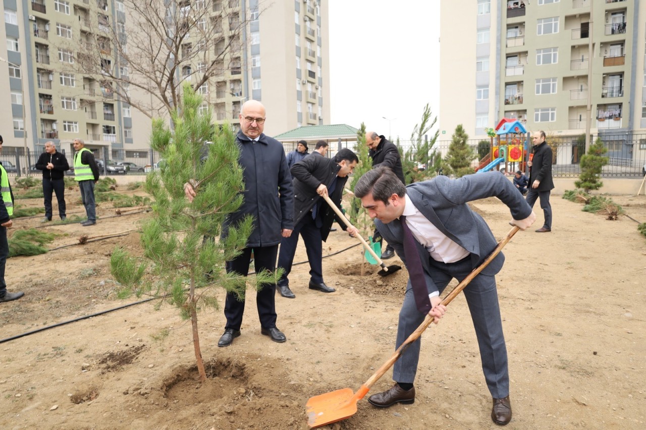 Gəncədə Ümummilli Liderin anım günü ilə əlaqədar ağacəkmə aksiyası keçirilib - FOTOLAR