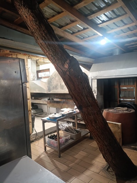 “Sherlock Park” restoranında nöqsanlar aşkarlandı - FOTOLAR