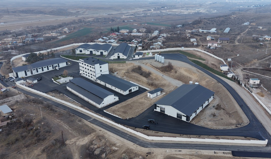 Prezident Ballıcada mebel zavodunun açılışını etdi - FOTOLAR