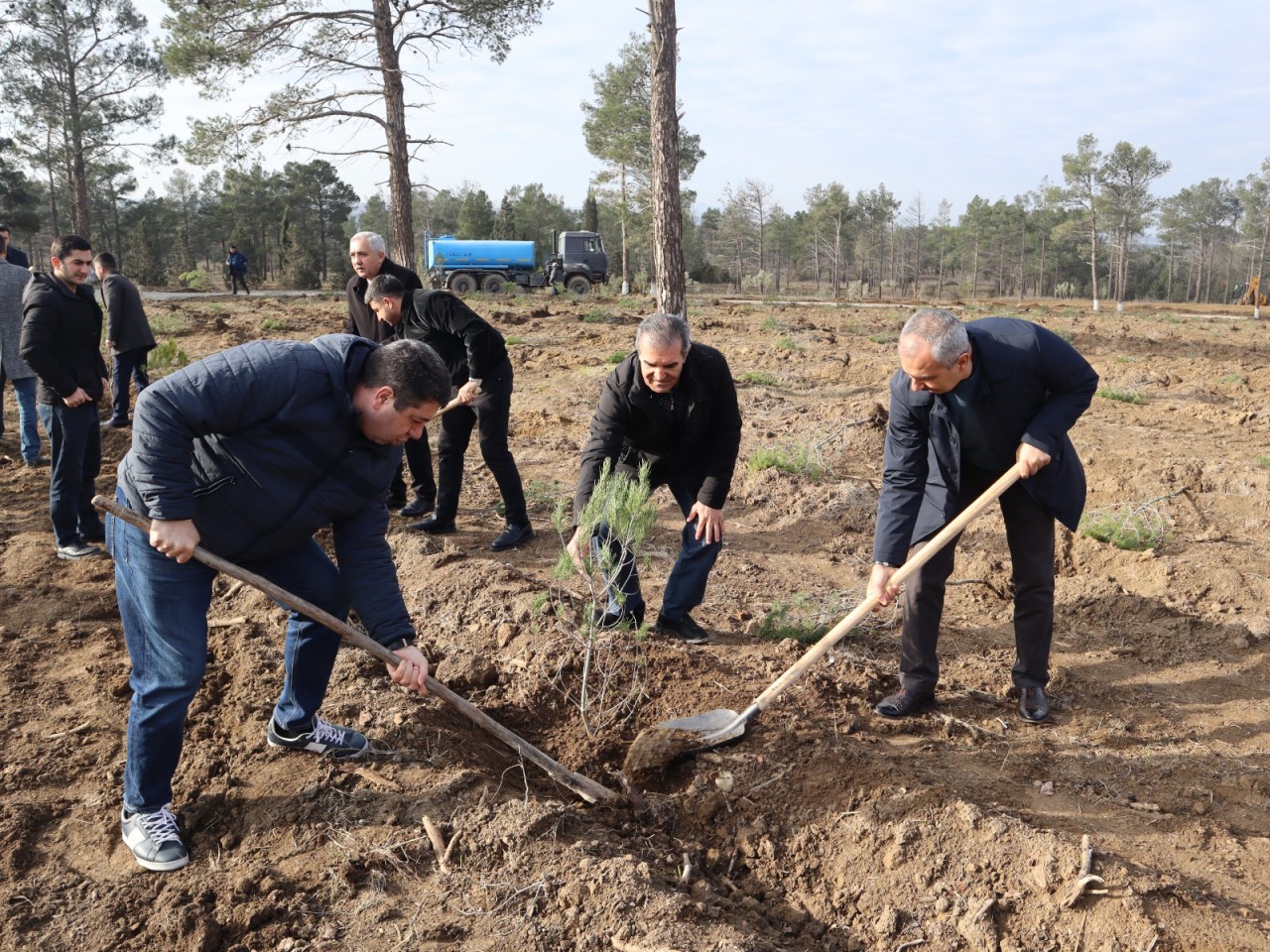 “Yaşıl və sağlam gələcək naminə” devizi altında ağacəkmə aksiyası keçirildi - FOTOLAR